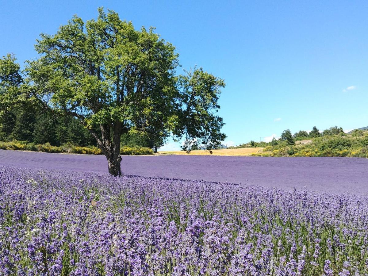 Maison Lina Sault-de-Vaucluse Eksteriør bilde